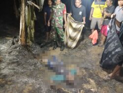 Bakar Rumput Ilalang di Sawah, Lansia Ditemukan Meninggal