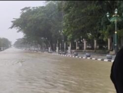 Kota Kendari Diguyur Hujan, Sejumlah Jalan dan Rumah Warga Terendam Banjir