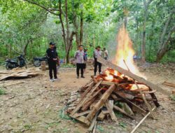 Polisi Bakar Arena Judi Sabung Ayam di Muna Barat