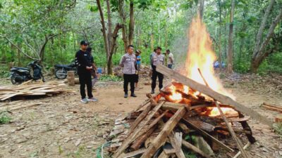 Polisi Bakar Arena Judi Sabung Ayam di Muna Barat