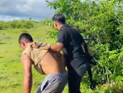 Terduga Pencuri Sapi di Buton Tengah Diamuk Massa, Mobilnya Dibakar