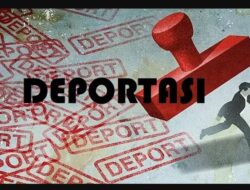 31 WNA Vietnam Dideportasi dari Baubau karena Langgar Izin Tinggal