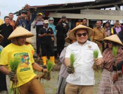 Hari Tani Nasional, Jaelani Dorong Pemerintah Siapkan Peta Jalan Pertanian Indonesia